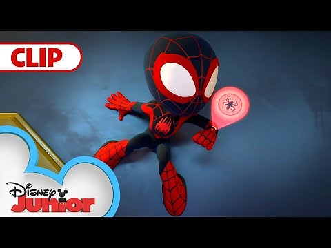 Catch and Release | Marvel's Spidey and his Amazing Friends | @disneyjunior