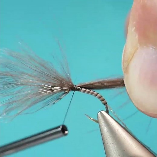 Amazing Cripple Emerger in 60 Seconds | Peacock Quill + Wild CDC Wing