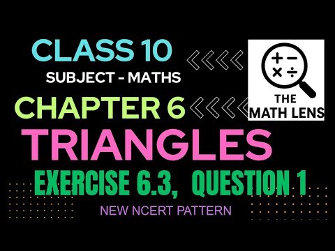 ✅Class 10 Maths | Exercise 6.3 Q1 | Similar Triangles | NCERT Triangles Chapter 6 | The Math Lens ✨📐