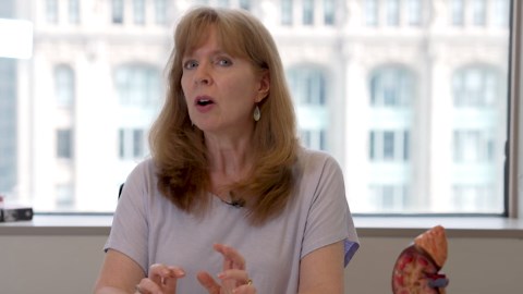 The first ever pig kidney transplant trial has begun. How did doctors get to this moment?