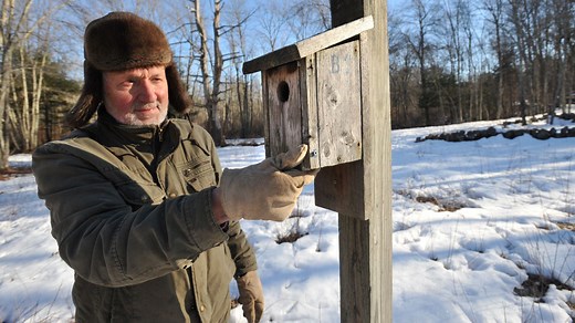 What birds are arriving in March? How to get ready for spring bird watching this month