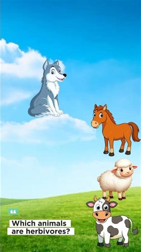 Which animals are herbivores?|Quick Quiz Game