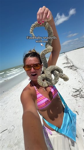 Finding Baby Seashells on a Florida Beach