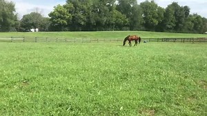 12K views · 398 reactions | Rolling into the week! Click the HD button in the bottom right for the best viewing quality | RUNHAPPY | Facebook