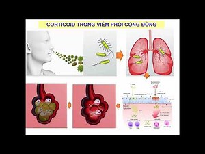 Dược lý lâm sàng Corticoid [Dược lý 18/18]