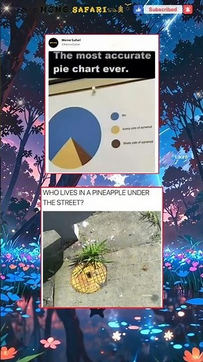 most accurate pie chart | #memes #viralmemes #funnymemes