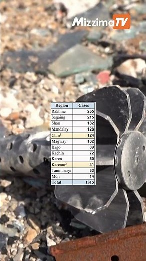 ၂၀၂၅ မှာ လေကြောင်းတိုက်ခိုက်မှုအလားအလာ ဘယ်လိုရှိမလဲ