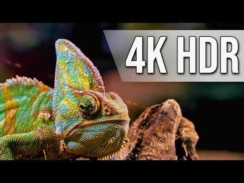 4k video HDr | cheak your display resolution