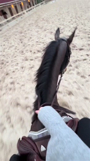 Love for My Best Gelding: Cantering and Jumping