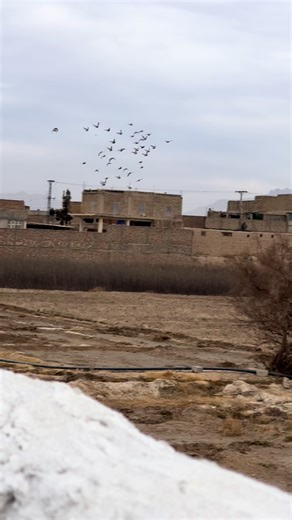 Transforming Your Profile: A Journey of Change