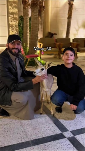 🤍🤍🤍#الامير_عبدالله_بن_سلطان_بن_ناصر_ال_سعود #الامير_عبدالعزيز_بن_عبدالله 🤍🤍🤍🤍#ال_سعود 🤍🤍🤍 #غزال #🦌