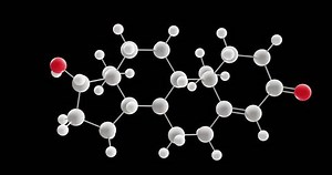 Testosterone Molecule Rotating 3d Model Sex Stock Footage Video (100% Royalty-free) 1107809507 | Shutterstock