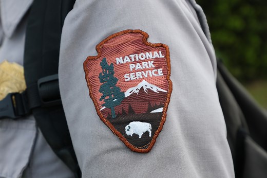 Best-Selling Anna Pigeon Novels Coming to Life on USA Network in New Mystery Series (DETAILS)