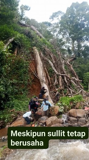 Hiled Aspal on Reels