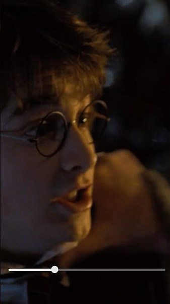 Did you put your name in the Goblet of Fire? #HarryPotter #AlbusDumbledore #GobletOfFire