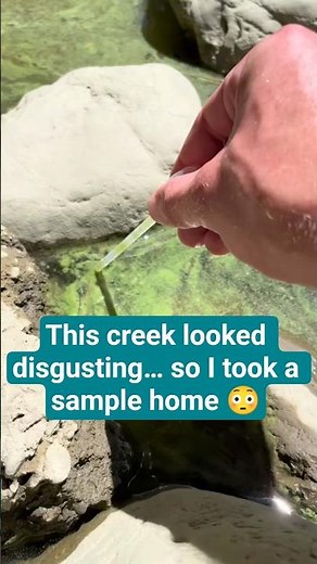 Exploring a Green Creek Water Sample Under the Microscope#fyp#foryou#foryoupage