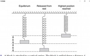 AP物理1选择题练习：力，动量与动能 Part1