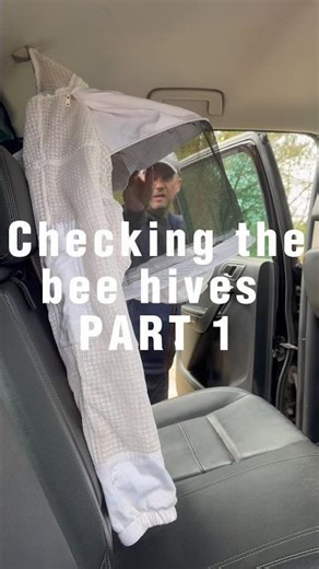 Spring hive checks, the most important hive check of the year, let’s see how the bees are doing!