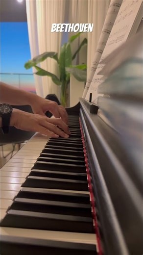 Beethoven #piano #classicalmusic #pianomusic