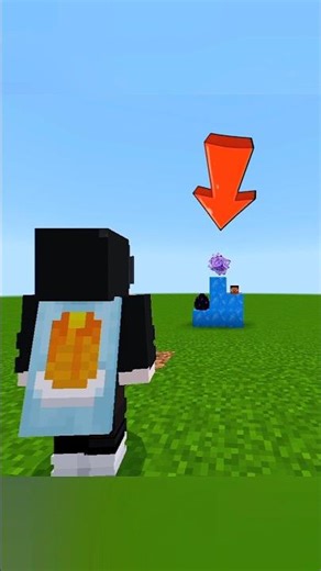 The Most Rarest Block in Minecraft 😳