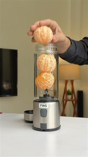 Orange in potable Blender