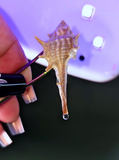Real Shell Keychain Craft: Ocean Vibes in Your Pocket