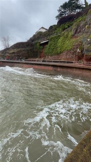 Paignton Devon goodrington | Selling Torquay