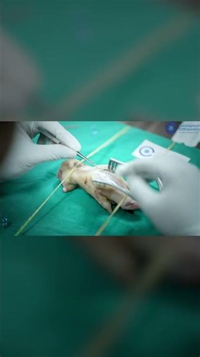 How the CO Hand Course Improved My Surgical Skills | Dr. Ujjwal | Conceptual Orthopedics