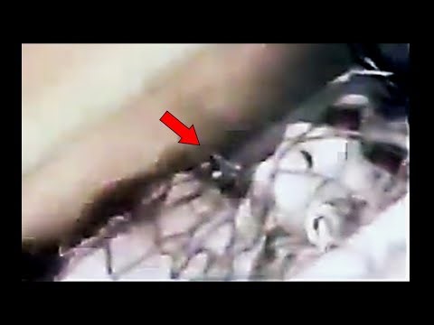 The Clearest Video Of The Varginha Brazil Alien Was Just Released...