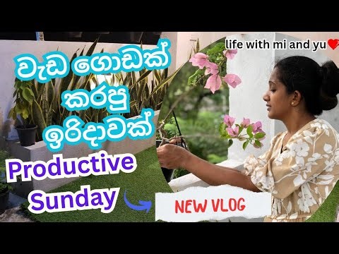 Sunday Motivation vlog | වැඩ ගොඩක් කරපු ඉරිදාවක් #motivationalvideo #vlog #vlogger #familyvlog