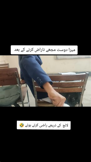 Understanding Friendship Dynamics with Humor