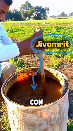 Parece asqueroso… pero hace crecer mejor las plantas #shorts #agricultura