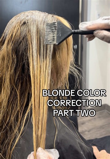 Blonde Color Correction Techniques: Part 2