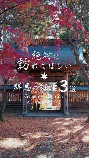 最強だと思う紅葉スポット #紅葉スポット #群馬 #国内旅行