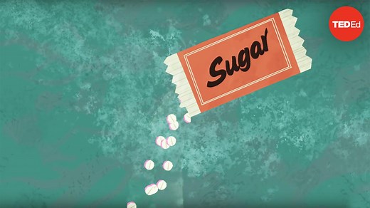 The power of the placebo effect