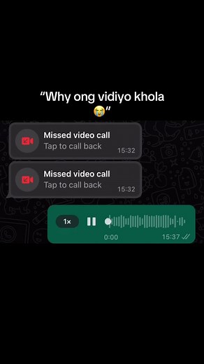 WhatsApp Chat Highlights: Missed Calls and Voice Notes