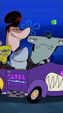 يحاول أن يكون قرشًا… لكن قلبه لا يحتمل الشر