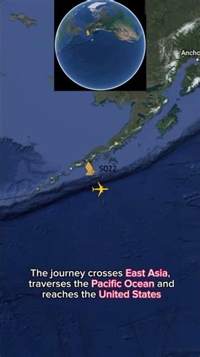Singapore to New York 🇸🇬✈️🇺🇸 | One of the Longest Flights on Earth