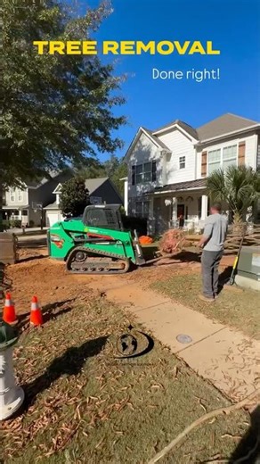 Massive Tree Removal in Minutes! Watch This Tree Come Down Safely 🌳🪓