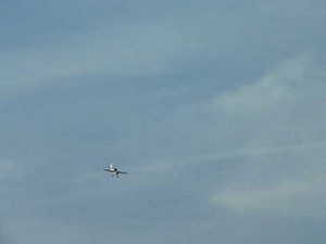 Multiplex Acromaster 1