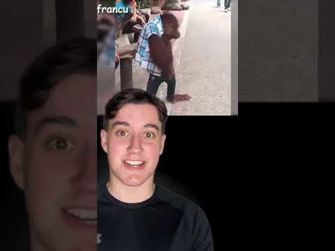 Examples of animals exhibiting human-like behavior