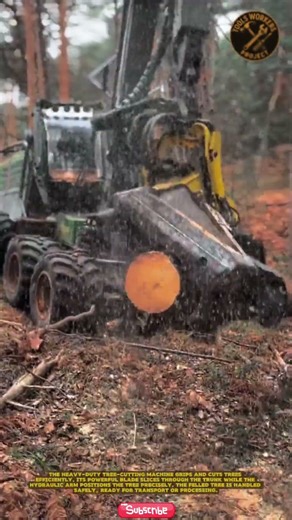 LOADING TOOL | How the Head Harvester Works #wood #toolsworkersproject
