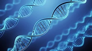 DNAイメージのループ映像の動画｜無料の動画素材サイト「動画AC」