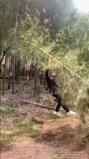 Bamboo Forest Swing: An Intimate Encounter with Nature!