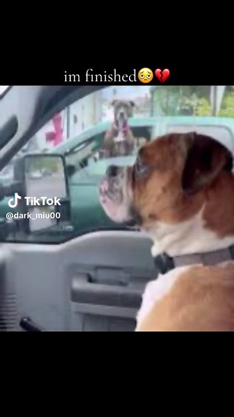 Roblox FNAF Doom: A Creative Adventure Unfolds