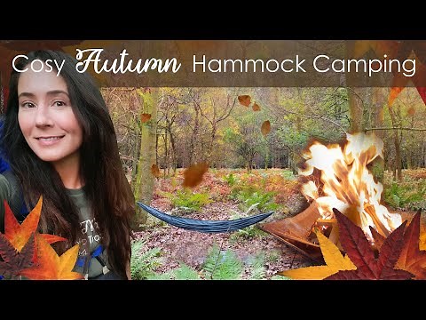 Solo Autumn Hammock Camp With Campfire & Lamb Steaks 🔥🍂🥩 (No Tarp) Wild Camping UK