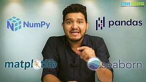 Data Analytics Course in Pune for Beginners at Cyber Success!