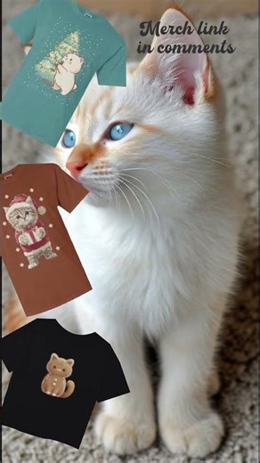 Colorpoint Kitten Blue Eyes Develops 💙