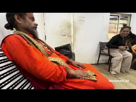 4 Year Aggressive German Shepherd | 5 Days Training Transformation 🐾#monomark_k9