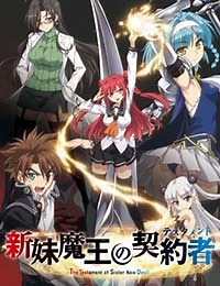 The Testament of Sister New Devil